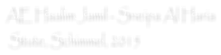 AE Haalim Jamil - Sneipa Al Haria  Stute, Schimmel, 2015