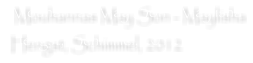Mouhannas May Son - Maylisha  Hengst, Schimmel, 2012