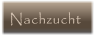 Nachzucht Nachzucht