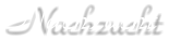 Nachzucht