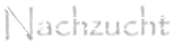 Nachzucht