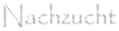 Nachzucht